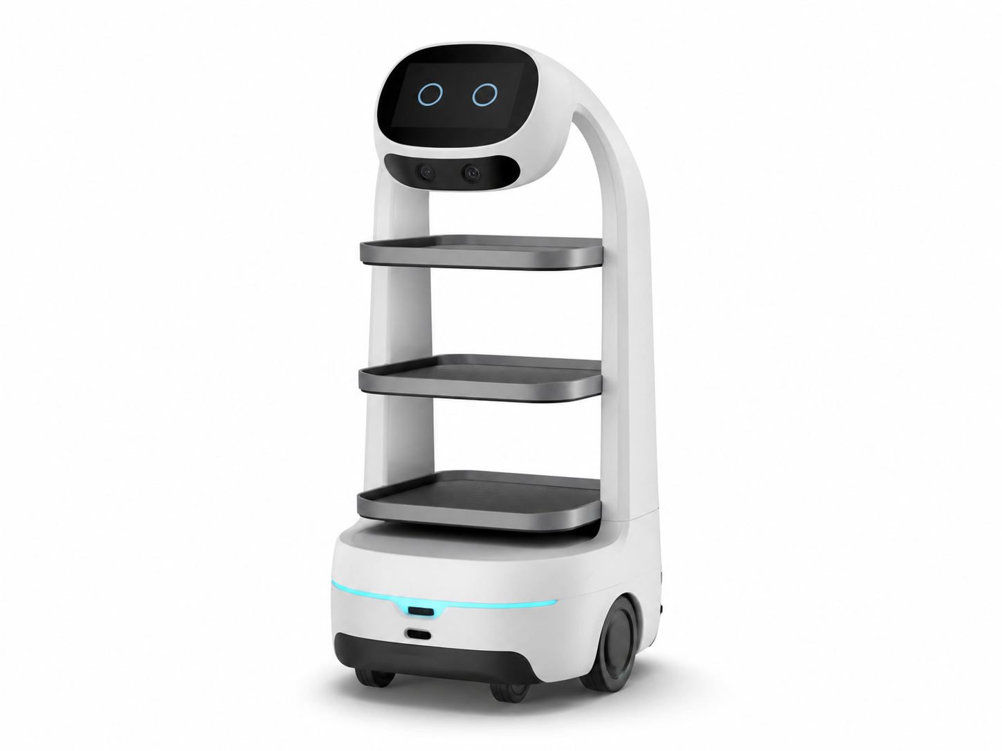 Service robot product